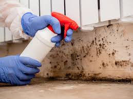 Environmental Consulting for Mold Prevention in Mangum, OK